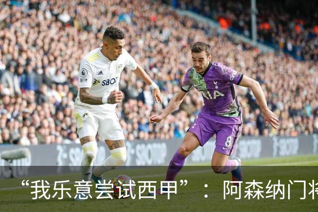 “我乐意尝试西甲”：阿森纳门将拉亚谈未来去向