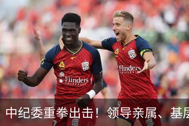 中纪委重拳出击！领导亲属、基层干部、8大领域，有一个查一个！