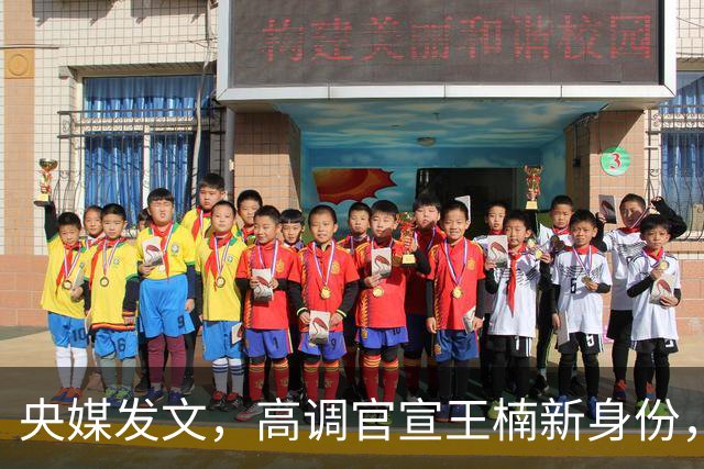 央媒发文，高调官宣王楠新身份，资产查封被带走调查传闻早有真相