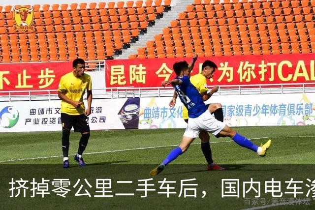 挤掉零公里二手车后，国内电车渗透率大幅下降