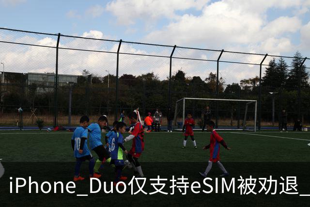 iPhone Duo仅支持eSIM被劝退 博主：出国就得删掉国内号码